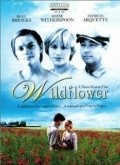 Wildflower film from Diane Keaton filmography.