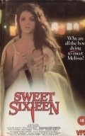 Sweet 16 is the best movie in Don Shanks filmography.