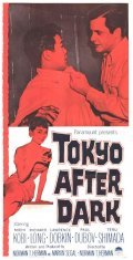 Tokyo After Dark - movie with Teru Shimada.
