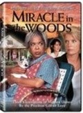 Miracle in the Woods - movie with Sanaa Lathan.