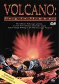 Volcano: Fire on the Mountain - movie with John Novak.