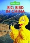 Film Big Bird in China.