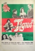 Il tigre film from Dino Risi filmography.