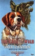 Call of the Wild - movie with Jack Mulhall.