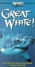 Great White is the best movie in Maykl Mayn filmography.