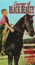 Courage of Black Beauty - movie with Mimi Gibson.