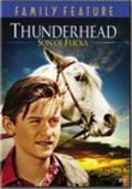 Thunderhead - Son of Flicka - movie with Carleton Young.