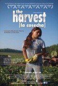 Film The Harvest/La Cosecha.