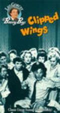 Clipped Wings - movie with Huntz Hall.