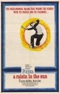 A Raisin in the Sun film from Daniel Petrie filmography.
