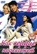 Dil Jo Bhi Kahey... - movie with Amitabh Bachchan.