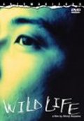 Wild Life - movie with Yoichiro Saito.