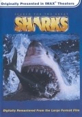 Film Search for the Great Sharks.