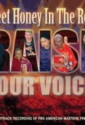 Sweet Honey in the Rock: Raise Your Voice is the best movie in Toshi Reagon filmography.