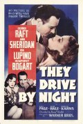 They Drive by Night film from Raoul Walsh filmography.