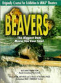 Film Beavers.