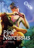 Pink Narcissus film from James Bidgood filmography.