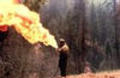 Wildfire: Feel the Heat - movie with Andre Braugher.