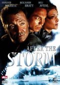 After the Storm film from Guy Ferland filmography.