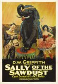 Sally of the Sawdust film from D.W. Griffith filmography.