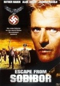 Escape from Sobibor film from Jack Gold filmography.