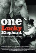 Film One Lucky Elephant.
