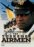 The Tuskegee Airmen film from Robert Markowitz filmography.