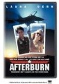 Afterburn - movie with Laura Dern.