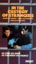In the Custody of Strangers - movie with Emilio Estevez.