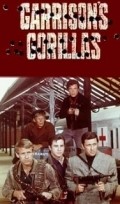 Garrison's Gorillas  (serial 1967-1968) - movie with Cesare Danova.