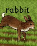 Animation movie Rabbit.