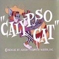 Calypso Cat