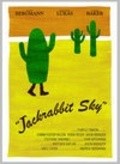 Jackrabbit Sky - movie with David C. Hayes.