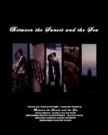 Between the Sunset and the Sea is the best movie in Michelle Van Der Water filmography.