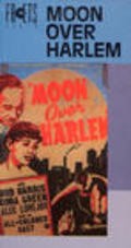 Moon Over Harlem is the best movie in Mercedes Gilbert filmography.
