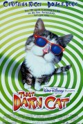 That Darn Cat film from Bob Spiers filmography.