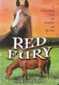 The Red Fury film from Lyman Dayton filmography.