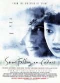 Snow Falling on Cedars film from Scott Hicks filmography.