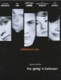 The Gray in Between is the best movie in James Jude Courtney filmography.