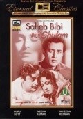 Sahib Bibi Aur Ghulam film from Abrar Alvi filmography.