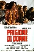 Prigione di donne is the best movie in Maria Pia Conte filmography.