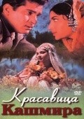Kashmir Ki Kali film from Shakti Samanta filmography.