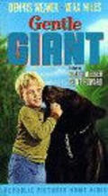 Gentle Giant is the best movie in Ralph Meeker filmography.