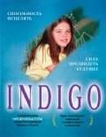 Indigo film from Stephen Deutsch filmography.