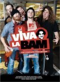 Viva la Bam - movie with Brandon Dicamillo.
