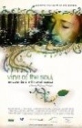 Vine of the Soul: Encounters with Ayahuasca film from Richard Meech filmography.