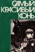 Samyiy krasivyiy kon is the best movie in Viktor Shcheglov filmography.