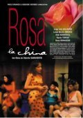 Rosa la china film from Valeria Sarmiento filmography.