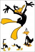 Animation movie The Daffy Duck Show.