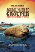 Square Grouper film from Billy Corben filmography.